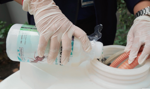 กำจัดปลวก