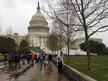 Meg Paskal Attends NAL Conference