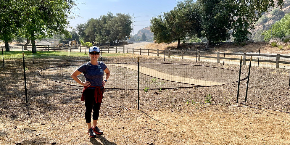 Micro Forest Project Planting Day Picnic