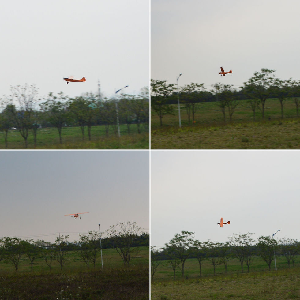 Miniatura: cessna, cessna l19, cessna l-19, Cessna Dog Bird, cessna modellflugzeug, cessna flugzeugmodell, cessna baukasten