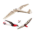 minimoa tony ray, minimoa modellflugzeug, minimoa flugzeugmodell, minimoa holzbaukasten, modell gö3 minimoa kit