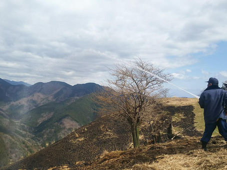 山は紅葉が進んでいます。