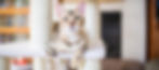 cat in clinical trial