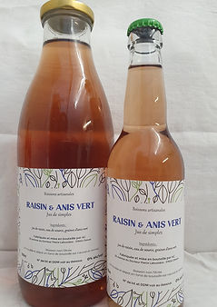 RAISANISVDuo.jpg
