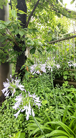 写真_20260705.png