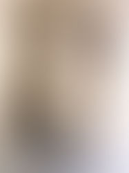 Christian A. Guzman Rivera