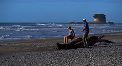 Photography adventures from Breakers Boutique Accommodation exploring New Zealand's iconic