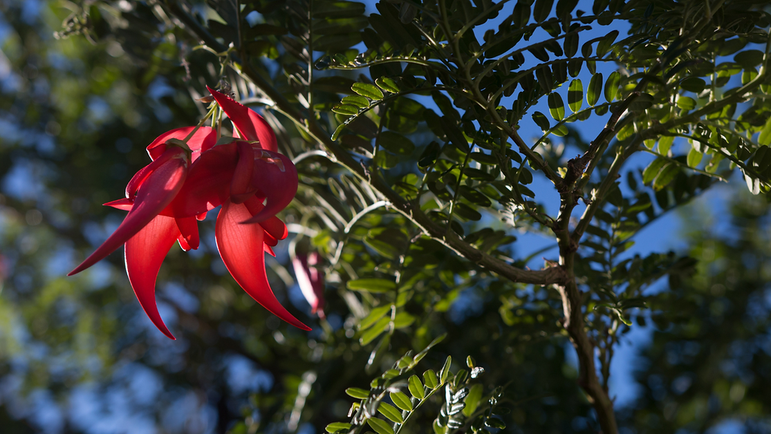 Untitled design (37).png