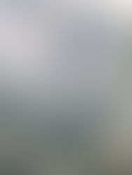 What to Expect from Rongoā Māori Healing, A Client's Perspective