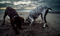 Ansel and Emma on the beach Nine Mile Greymoboutique-accommodation-punakaiki-breakers