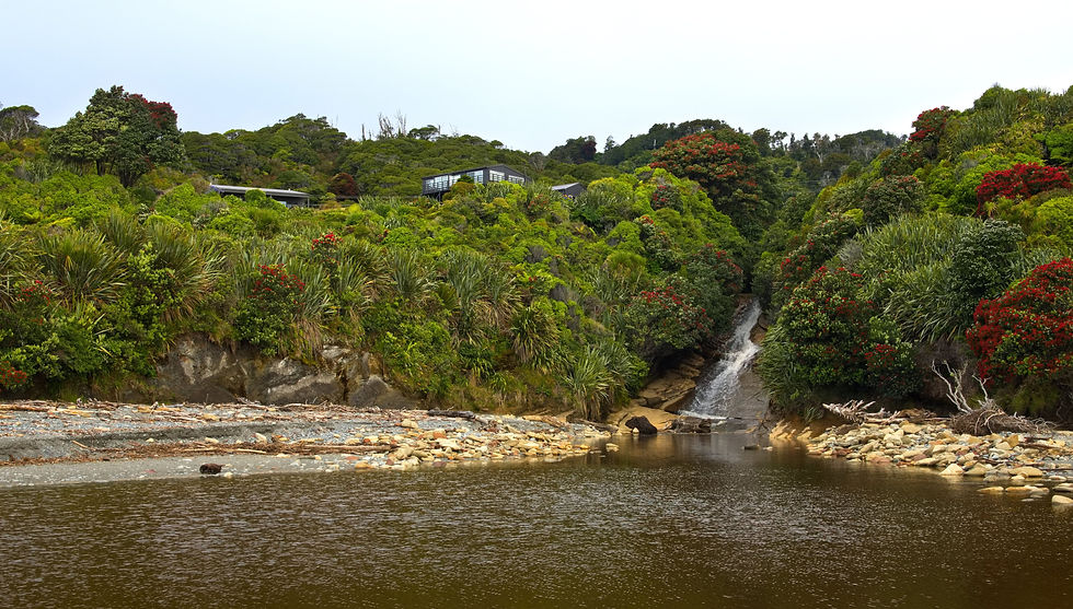 Native coastal gardens at Breakers Boutique Accommodation