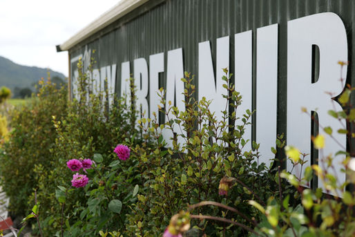 Ra Clay | Nomad Aotearoa, The Grey Area Nursery