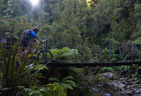 Cycling the Paparoa Track West Coast- New Zealand Cycle ways