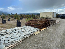 278205823_653950302613325_4045421203329604612_n