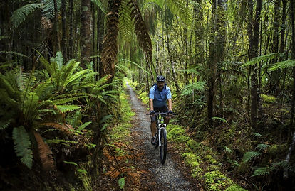 Explore New Zealand's West Coast by bike from Breakers Boutique Accommodation, perfectly l