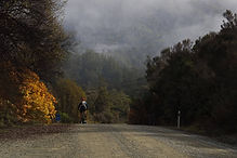 Explore New Zealand's West Coast by bike from Breakers Boutique Accommodation, perfectly l