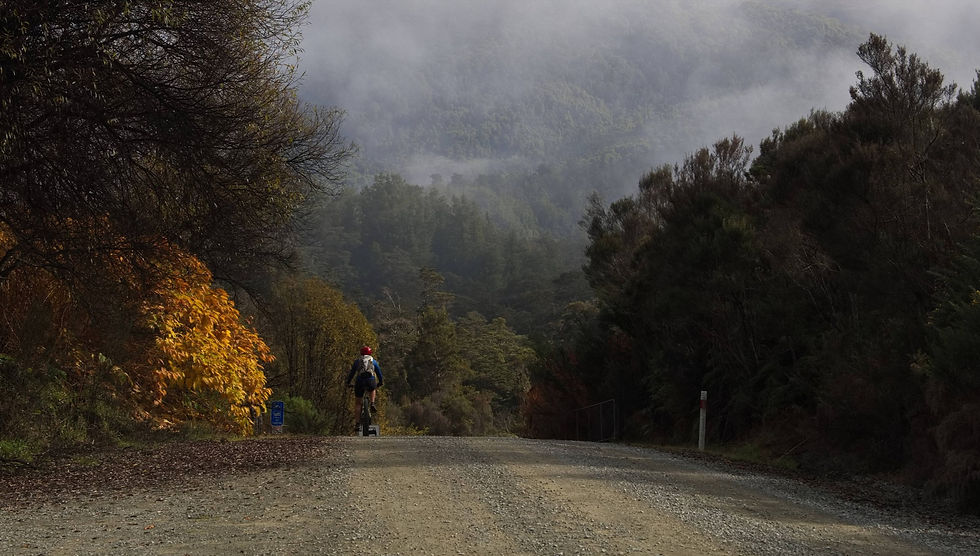 Explore New Zealand's West Coast by bike from Breakers Boutique Accommodation, perfectly l
