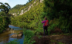 Pororari river walk and views punakaiki west coast nz
