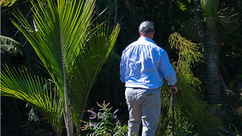 west-coast-cultural-experiences-breakers-boutique-accommodation-coast-road-bed-and-breakfast-authentic-new-zealand-