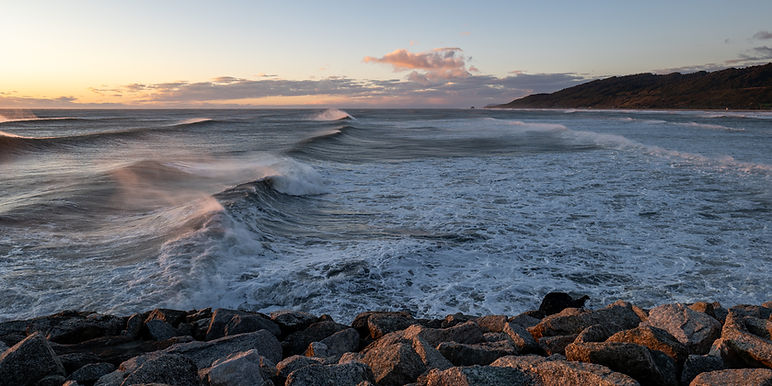P1090767-2.jpg