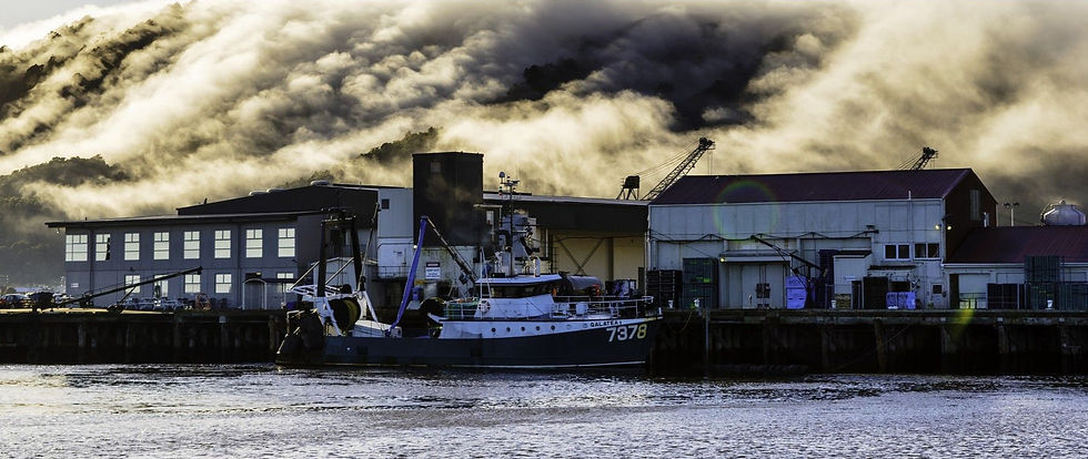 Greymouth Fishing Harbor West Coast
