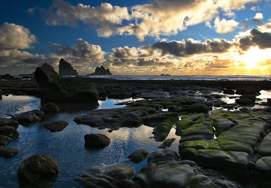 Rock pools and sea stars near Breakers on the Great Coast Road