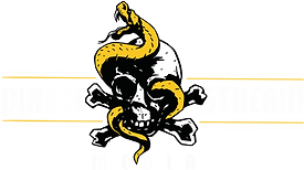 pirate-stream-media-logo.png