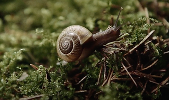 Tech Down - Listen up