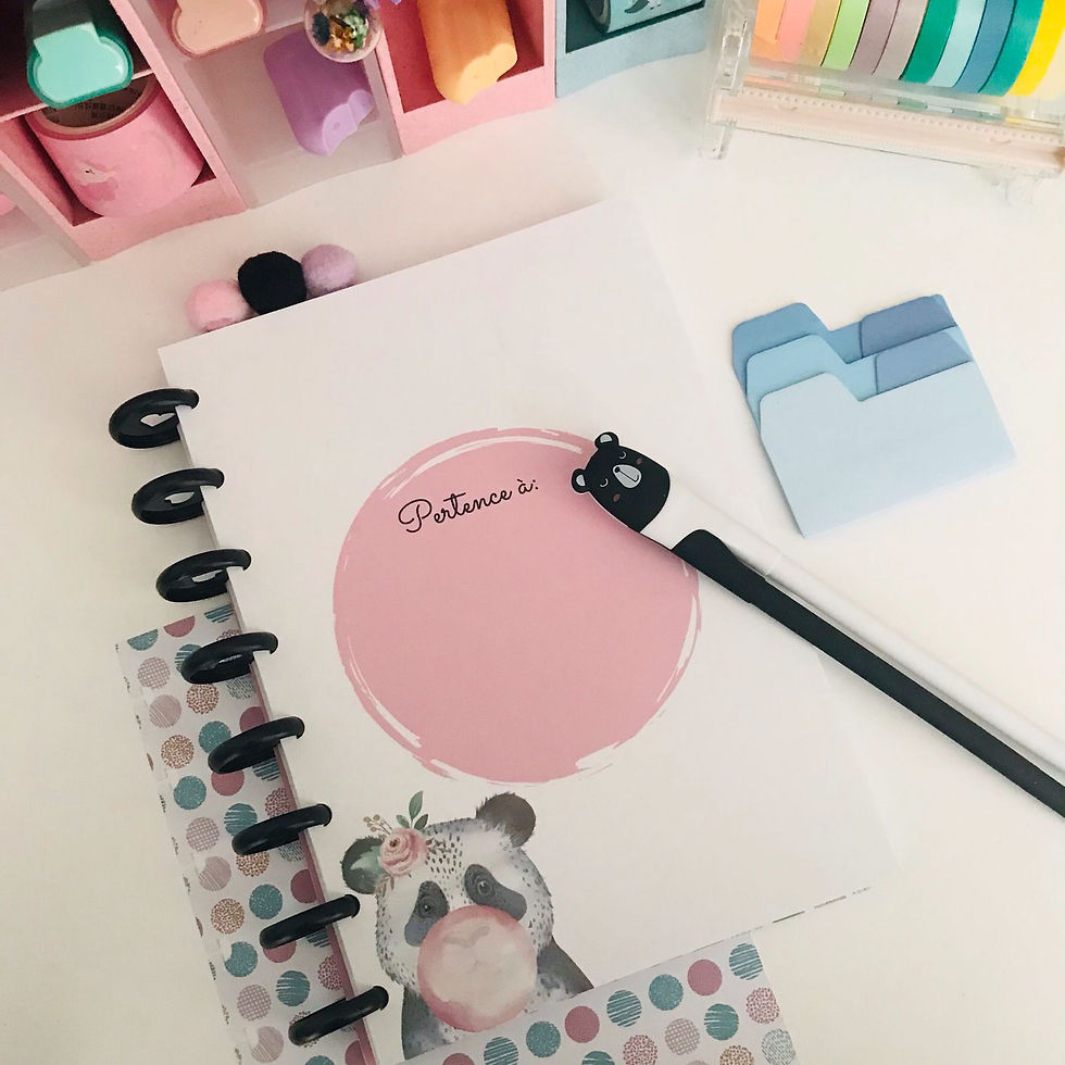 Miniatura: Planner de Disco Pandinha