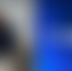 Brad Garlinghouse Reveals Ripple Had 100+ Financial Institutions — XRP In Focus