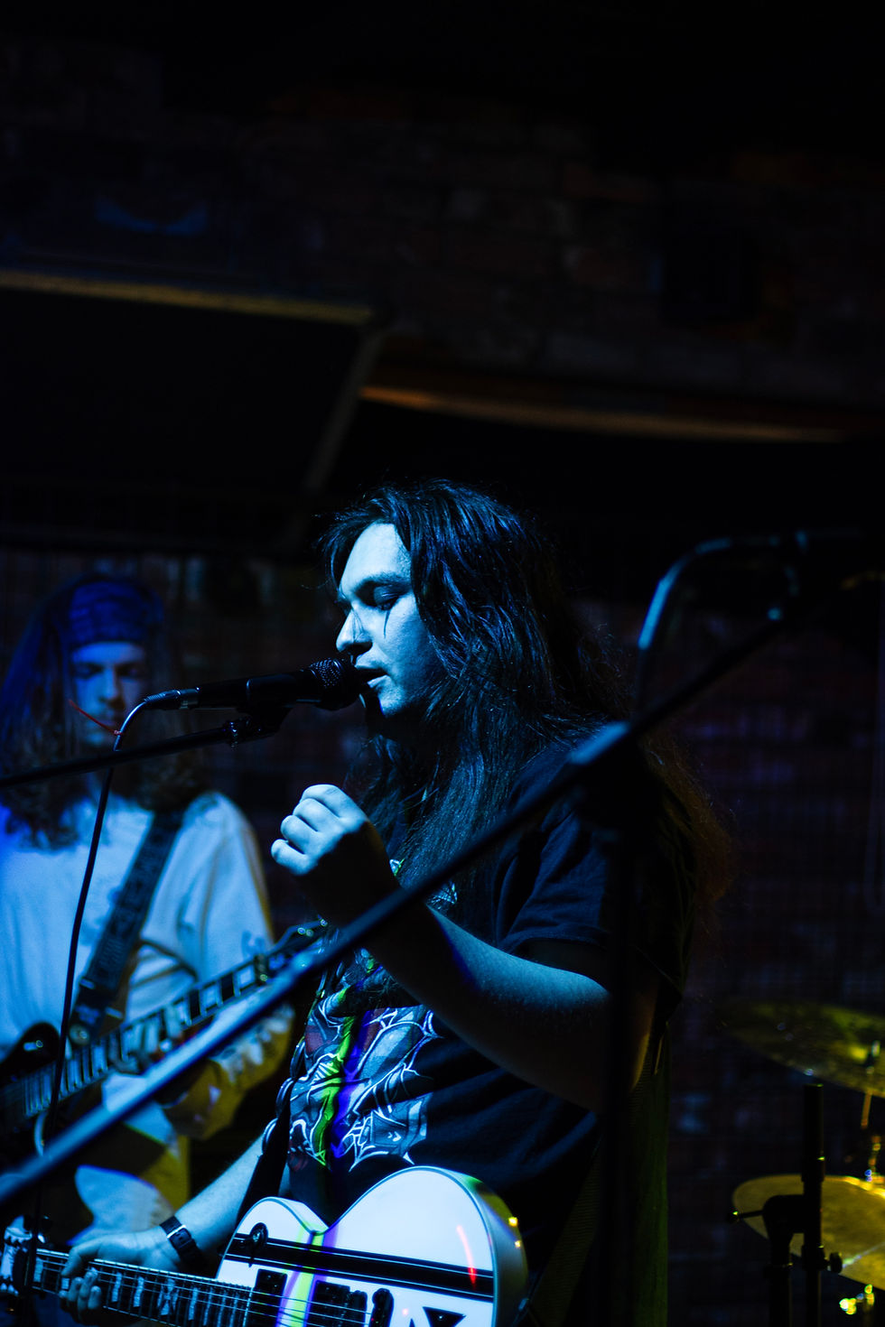 Zed, Dreams of the Damned - Strawb Fest
