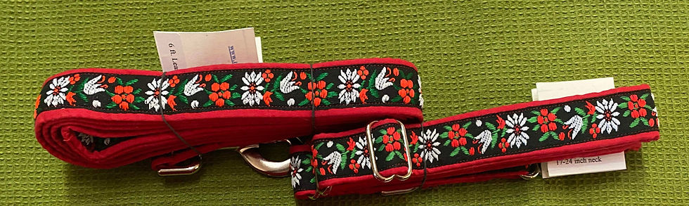 BMDCA Health Auction Items for Bid