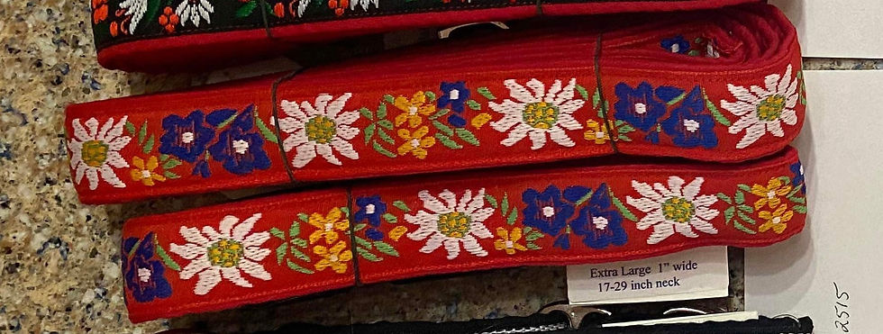 BMDCA Health Auction Items for Bid