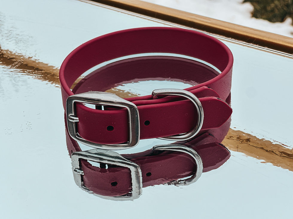 Thumbnail: Classic Collar
