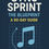 Thumbnail: Sync Sprint The Blueprint: A 90 Day Guide