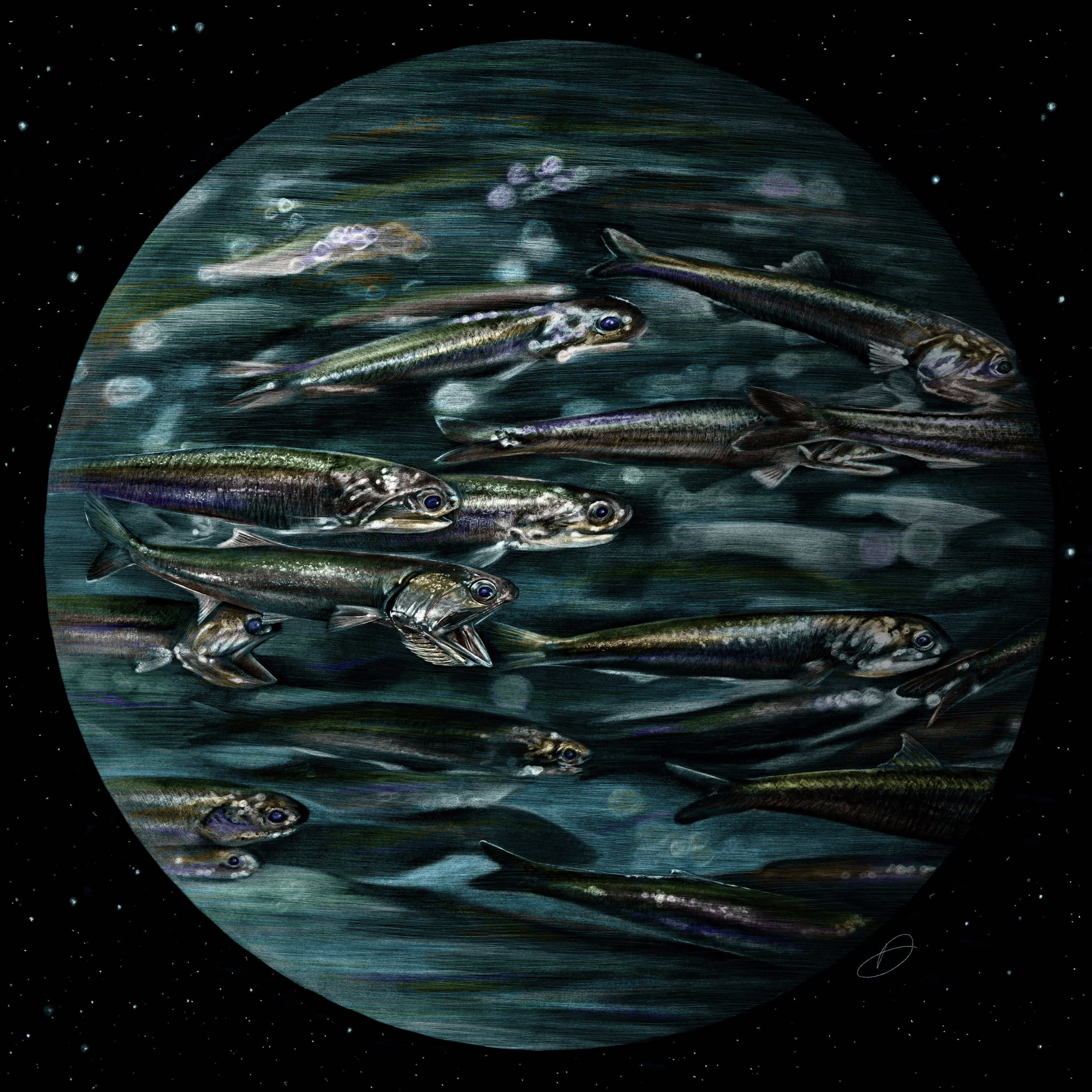 Blue Planet I: The Anchovy Marble Metal Mini (Aluminium print)