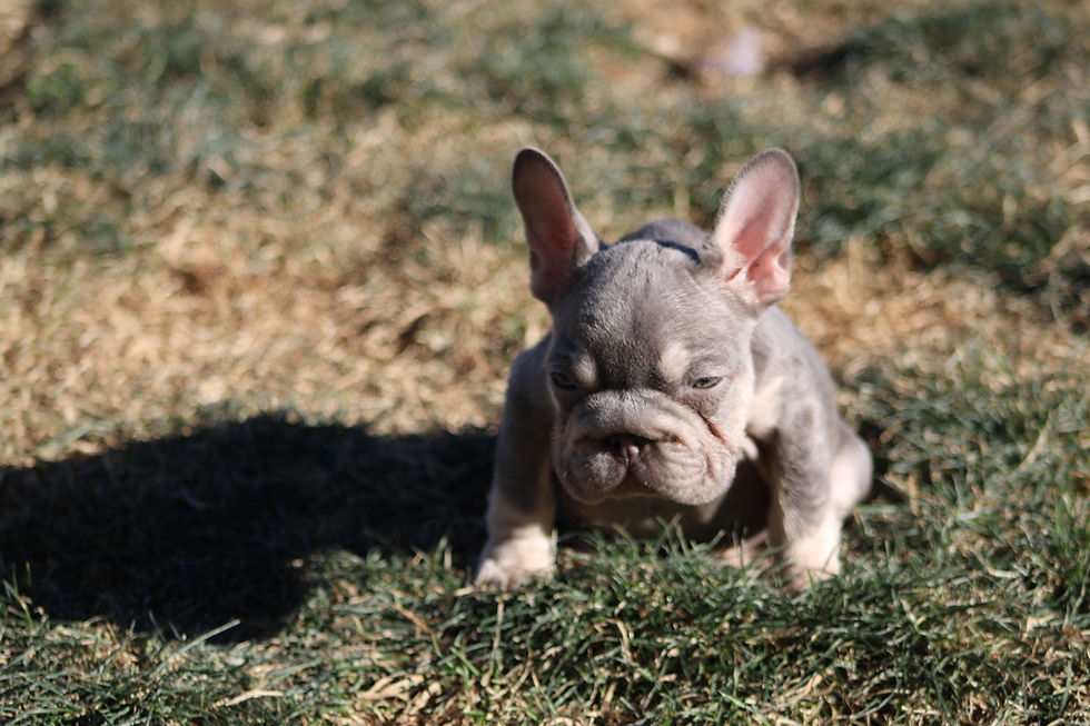 Thumbnail: Wednesday