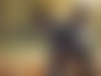 Meet Our Adorable French Bulldog Puppies for Sale