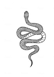 do-any-kind-of-tattoo-design-according-to-your-request (6).jpg