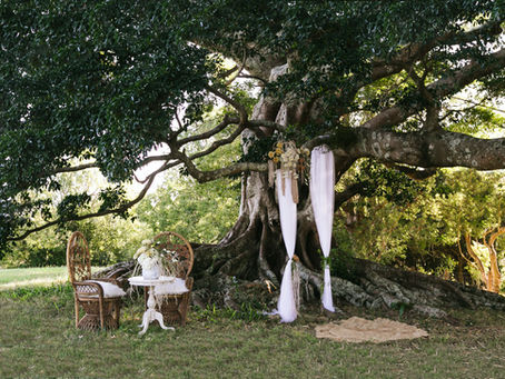 Spring is in the Air.... as are Weddings and Elopements