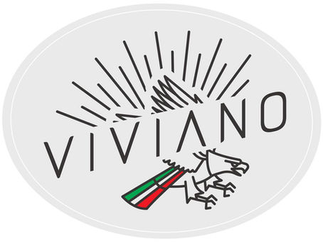 VIVIANO will be present at the 17th edition of the International Pyrotechnics Fair of Paestum (SA) from February 27 to March 1, 2026 – Stand A14.