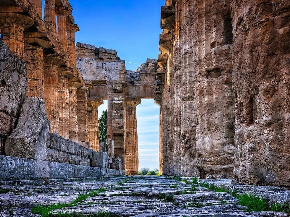 Adotta un blocco delle mura di Paestum