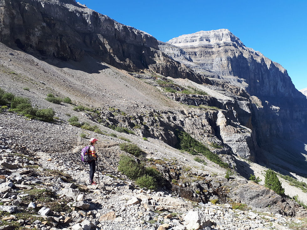 Randonneuse admirant un magnifique paysage de la randonnée vers le glacier Stanley dans les Rocheuses canadiennes.
