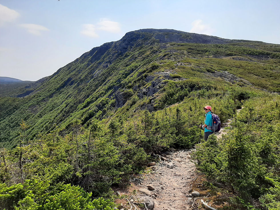 Magnifique vue depuis la crête su sentier menant au Mont Xalibu dans le Parc National de la Gaspésie au Québec