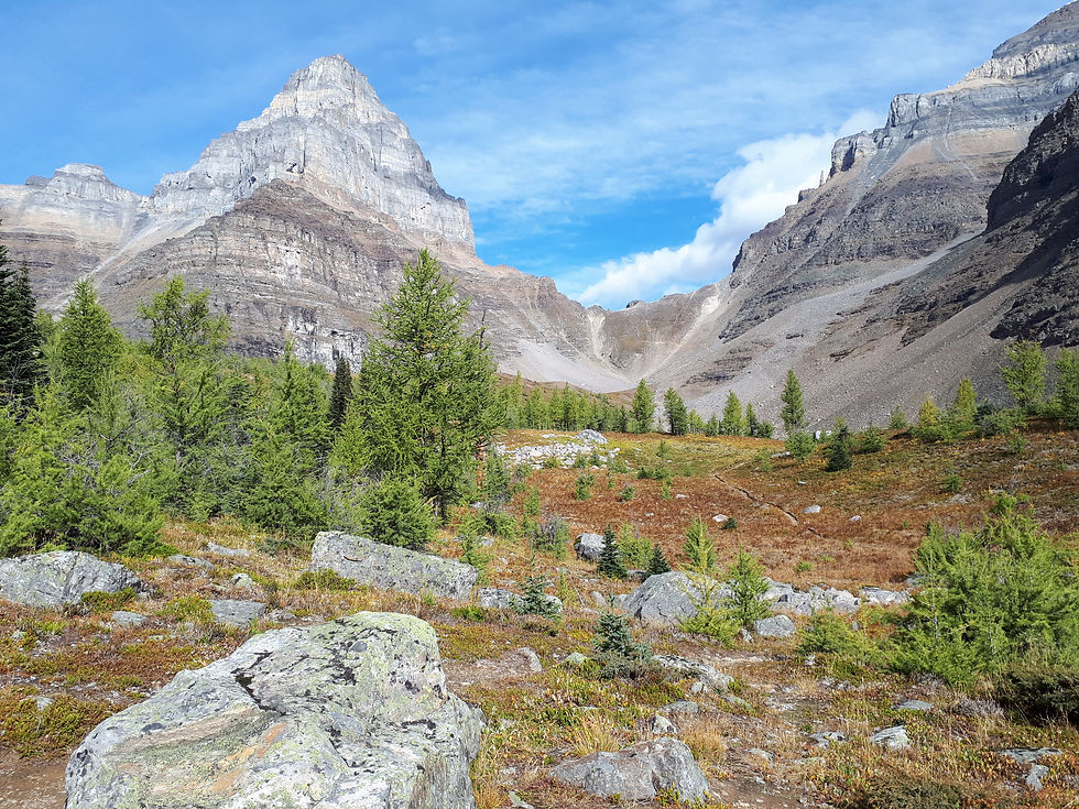 Magnifique paysage d'automne des rocheuses canadiennes