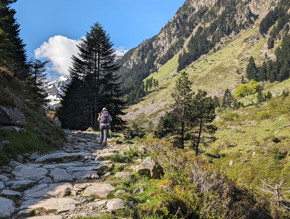 Randonnée sur un sentier en montée vers le refuge d'Estom dans les Pyrénées françaises.