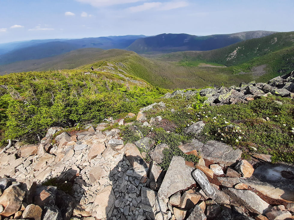 Magnifique vue depuis la crête su sentier menant au Mont Xalibu dans le Parc National de la Gaspésie au Québec