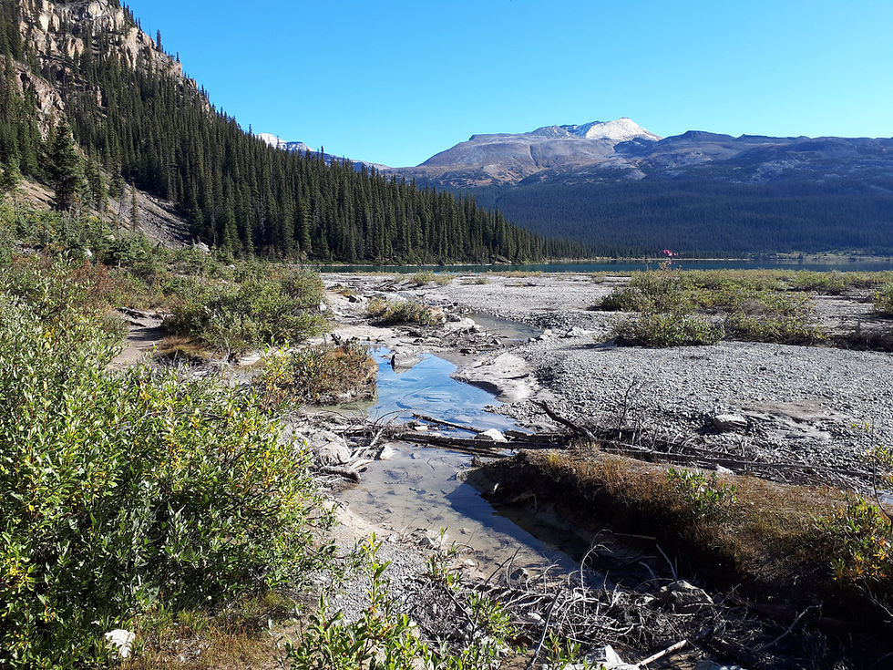 Vue depuis le sentier vers les chutes du glacier Bow en Alberta