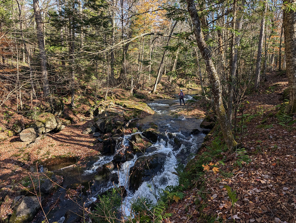 Cours d'eau vu sur le sentier "Parcours Les Cimes " au Mont-Mégantic au Québec