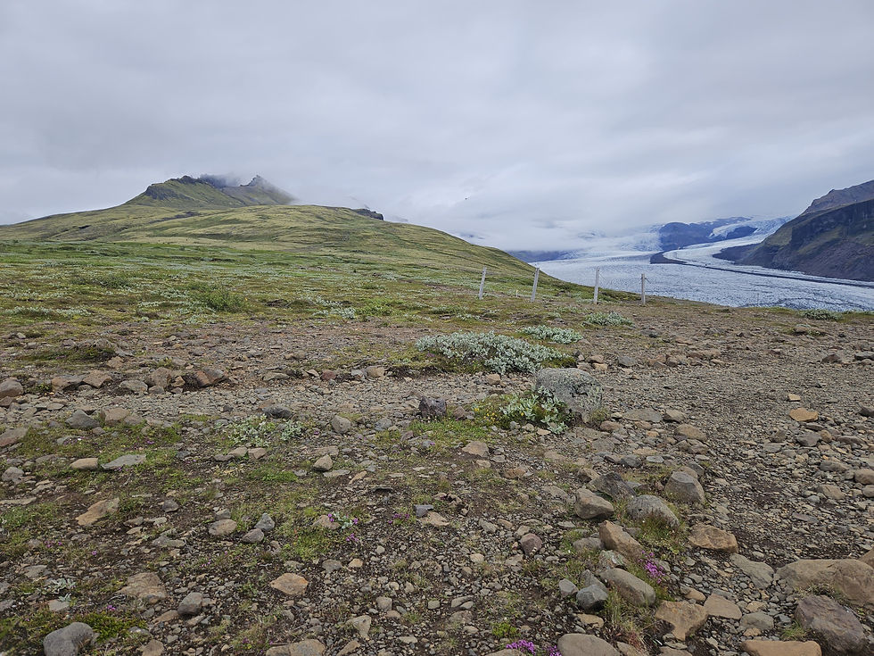 Vue partielle du glacier Skaftafellsjökull dans le Parc de Skaftafell en Islande